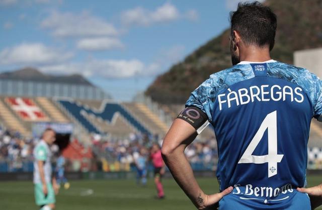 泰山队的队 泰山队的队