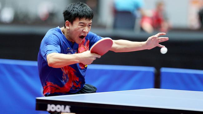 从新星到巨 从新星到巨